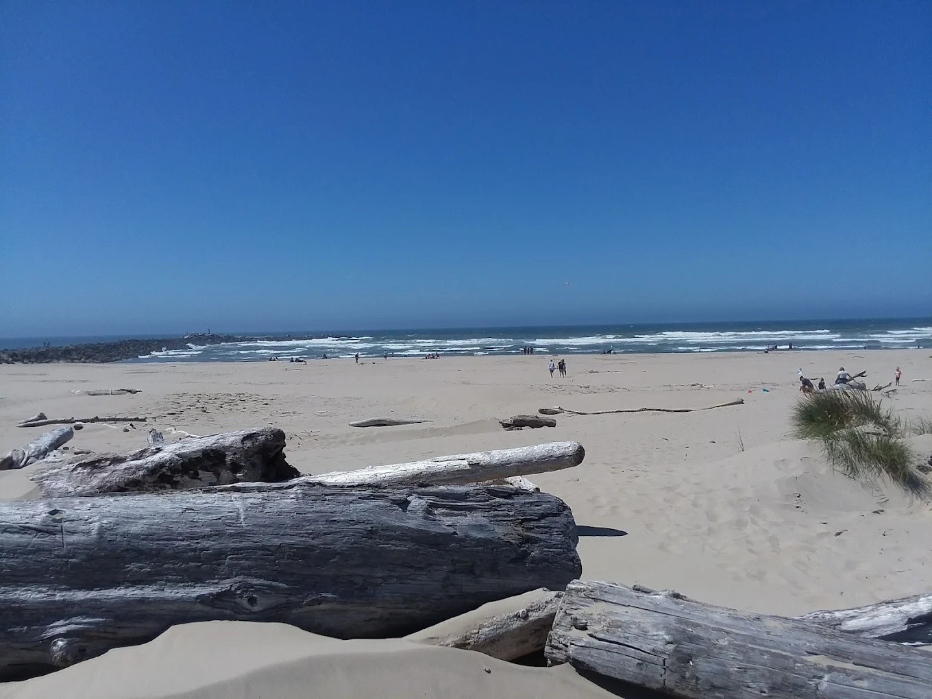 Harbor Vista County Campground & Park