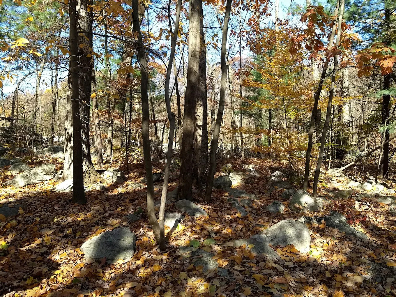 Blue Rocks Family Campground