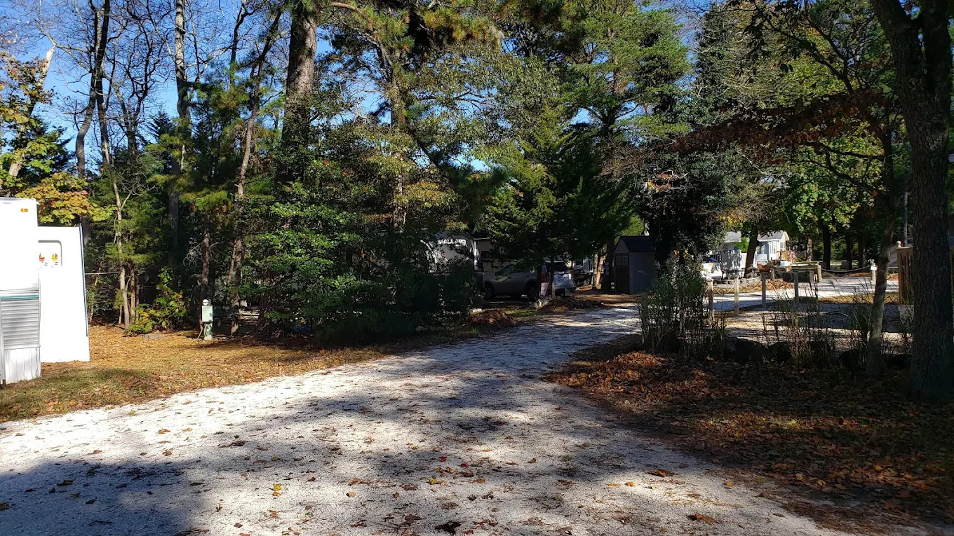 Ponderosa Campground