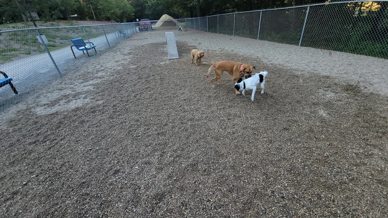 Cold Springs Camp Resort