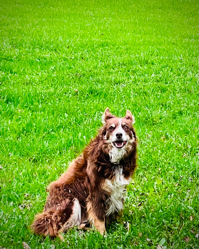 Hidden Springs Retreat & Guesthouse