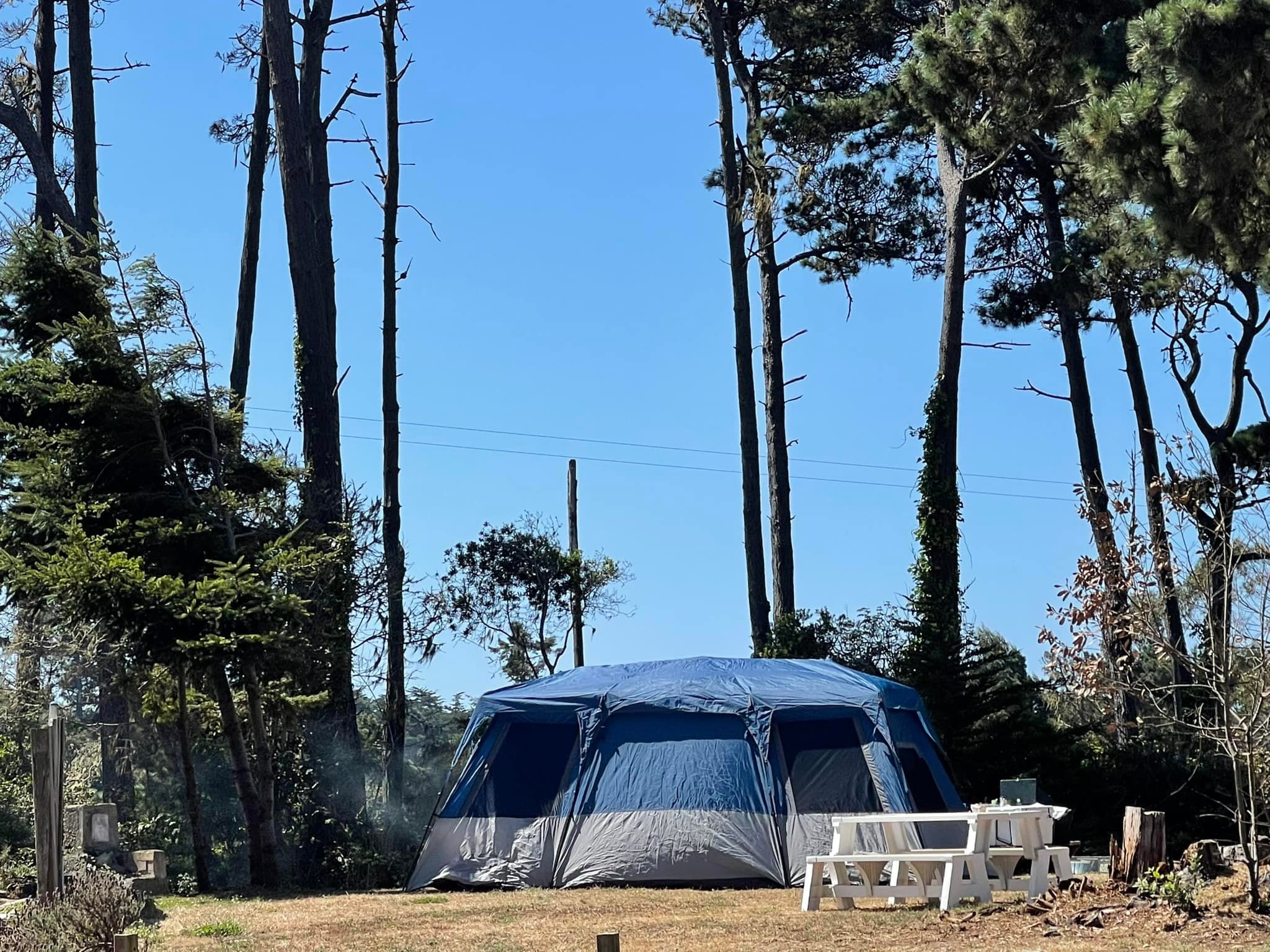 Hidden Pines RV Park Campground
