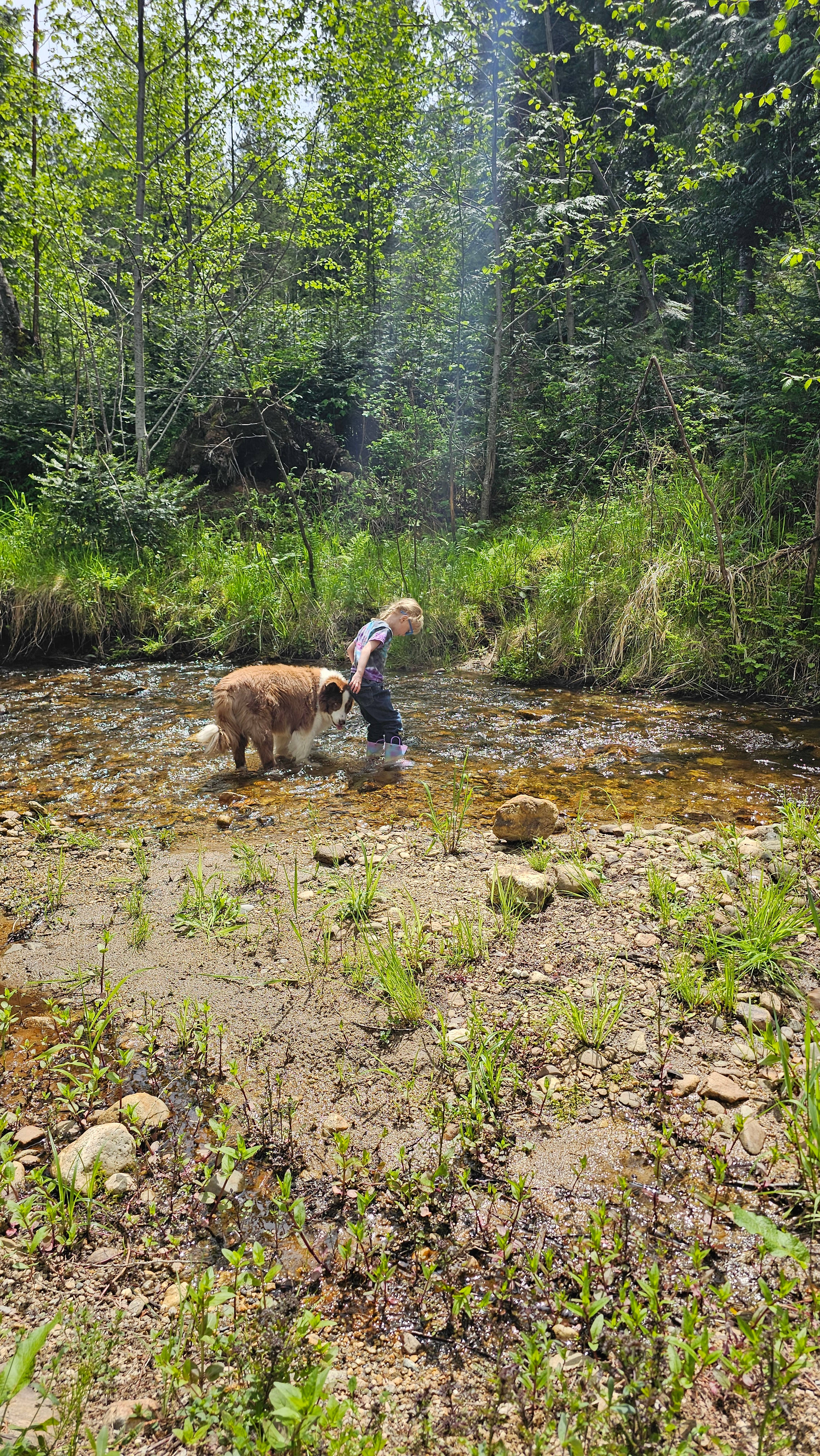 Turnipseed Creek Campsites