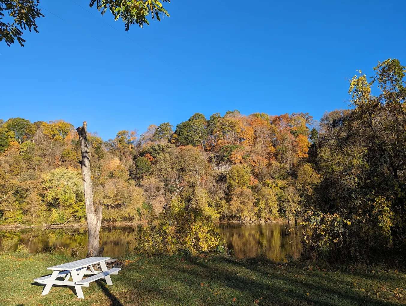Eggleston Springs Campground