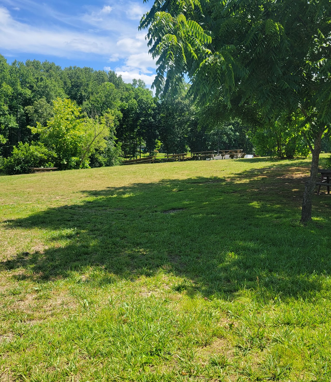 Rocky Branch Marina & Campground