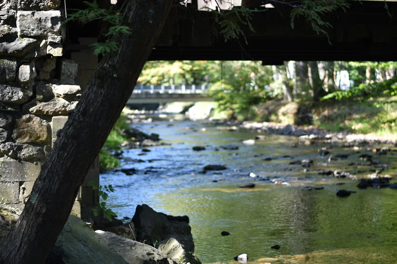 Knoebels Campground