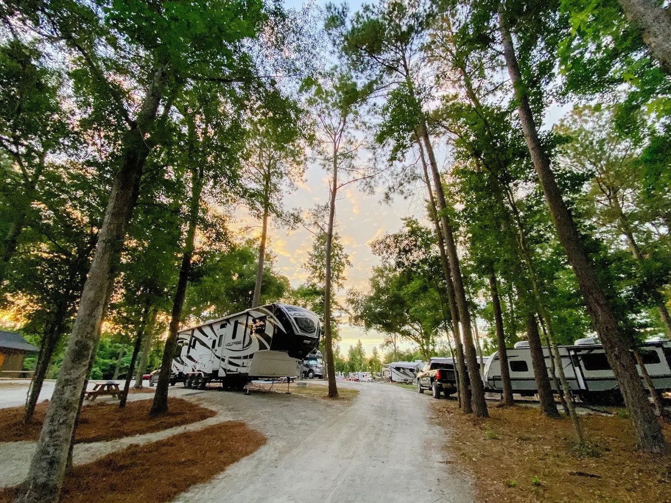 Magnolia Lane Campground