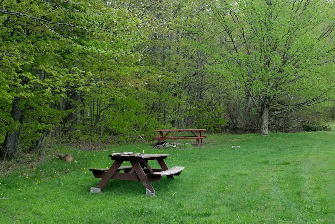 Maple Hill Campsites