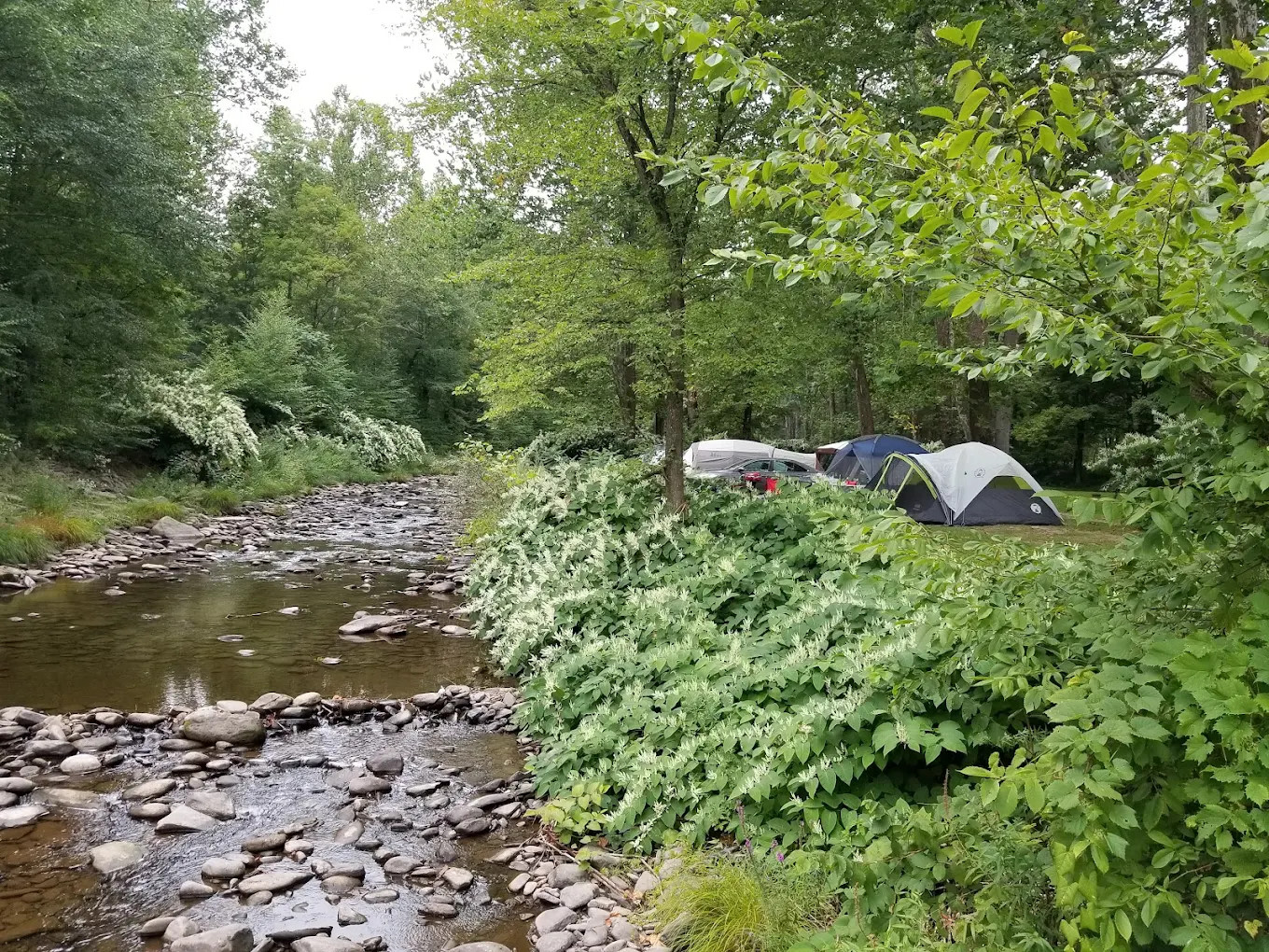 Soaring Eagle Camp Ground