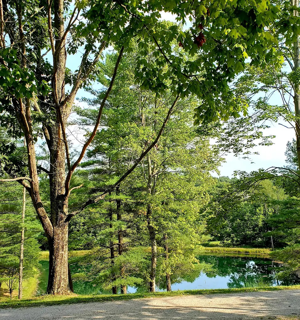 Under the Stars Campground