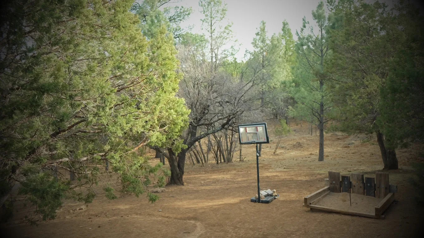 Camp of the Tall Pines