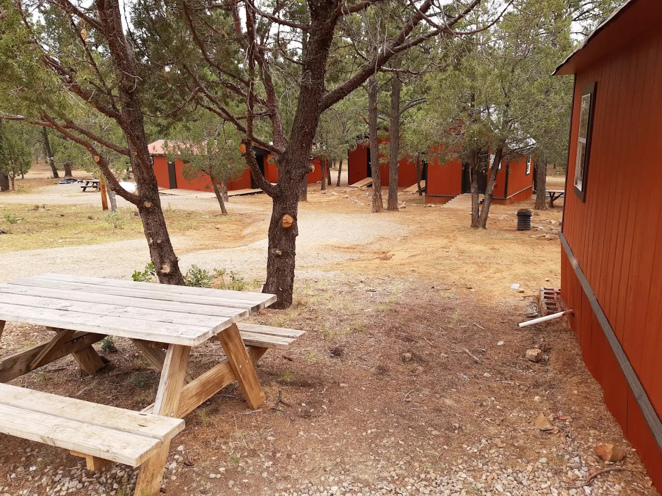 Camp of the Tall Pines