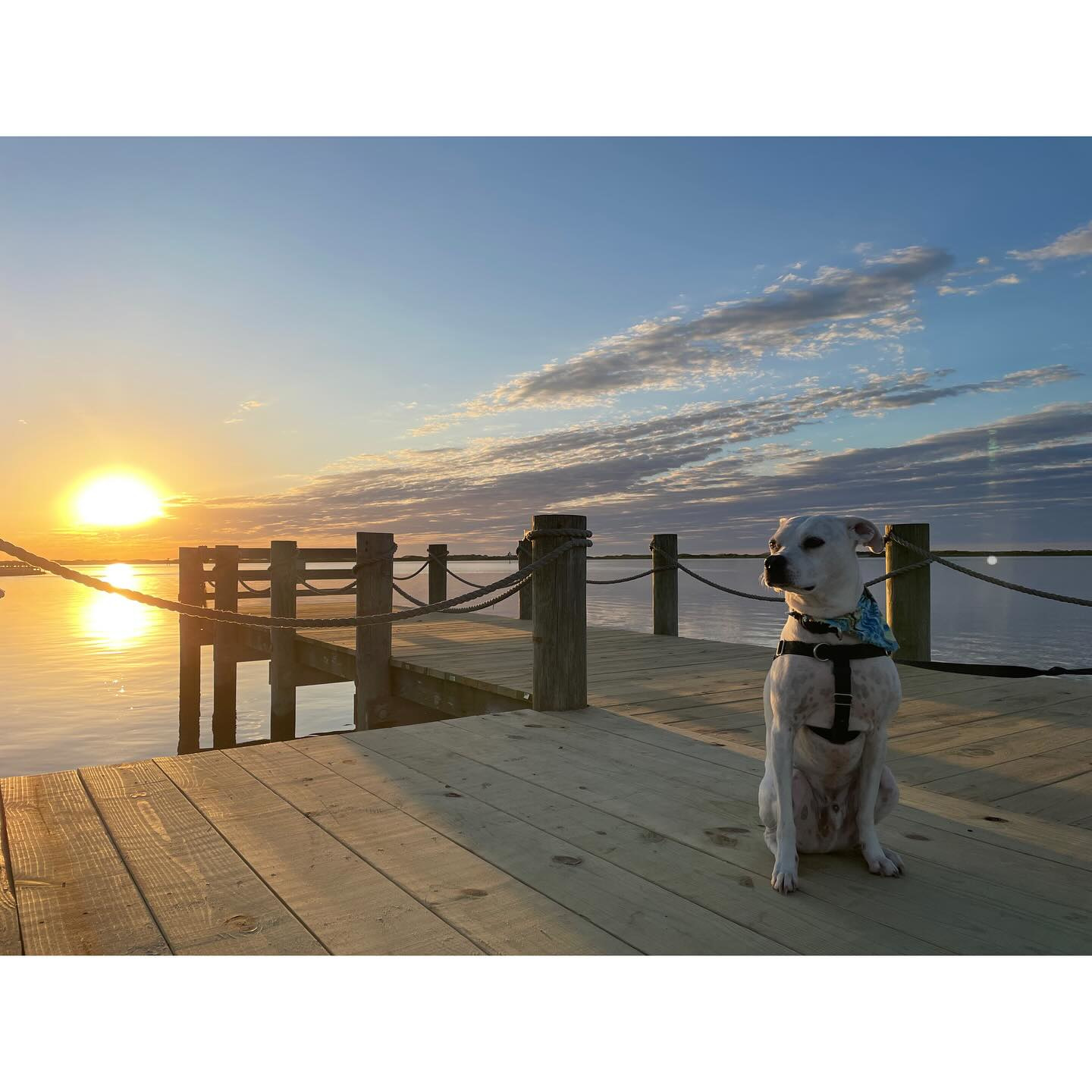 Sun Outdoors Ocean City