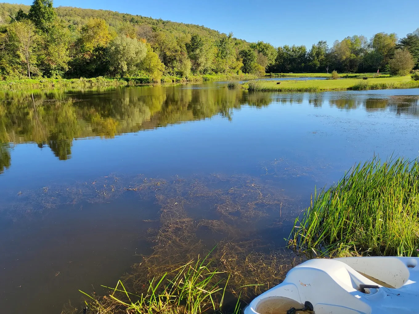 Finger Lakes Campground