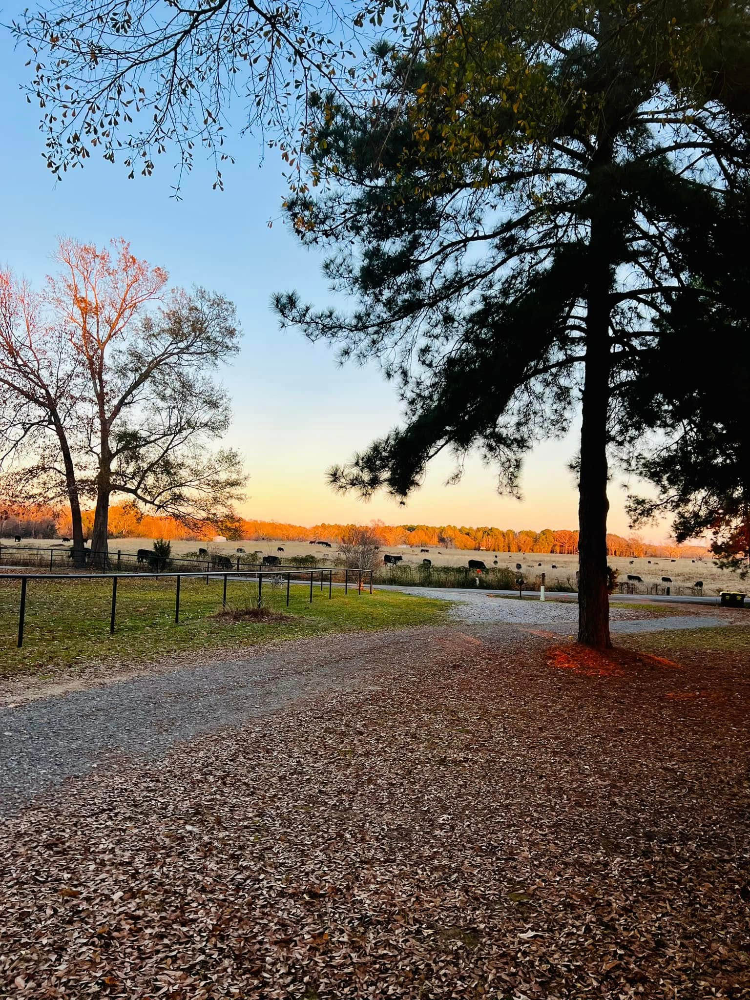 Three Pines Lakeside