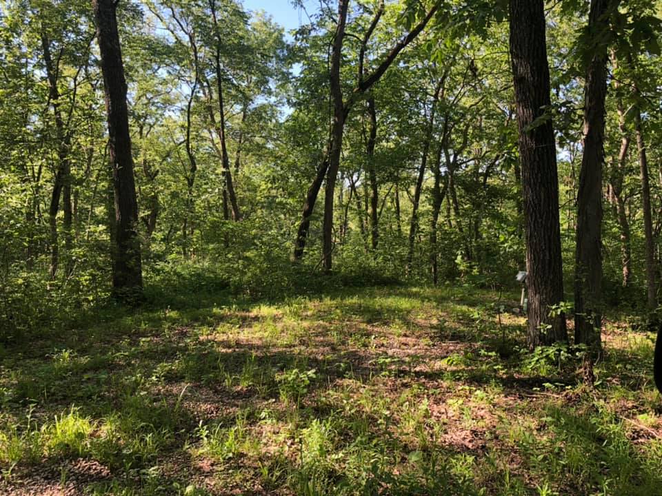 Loehr Campground and Resort