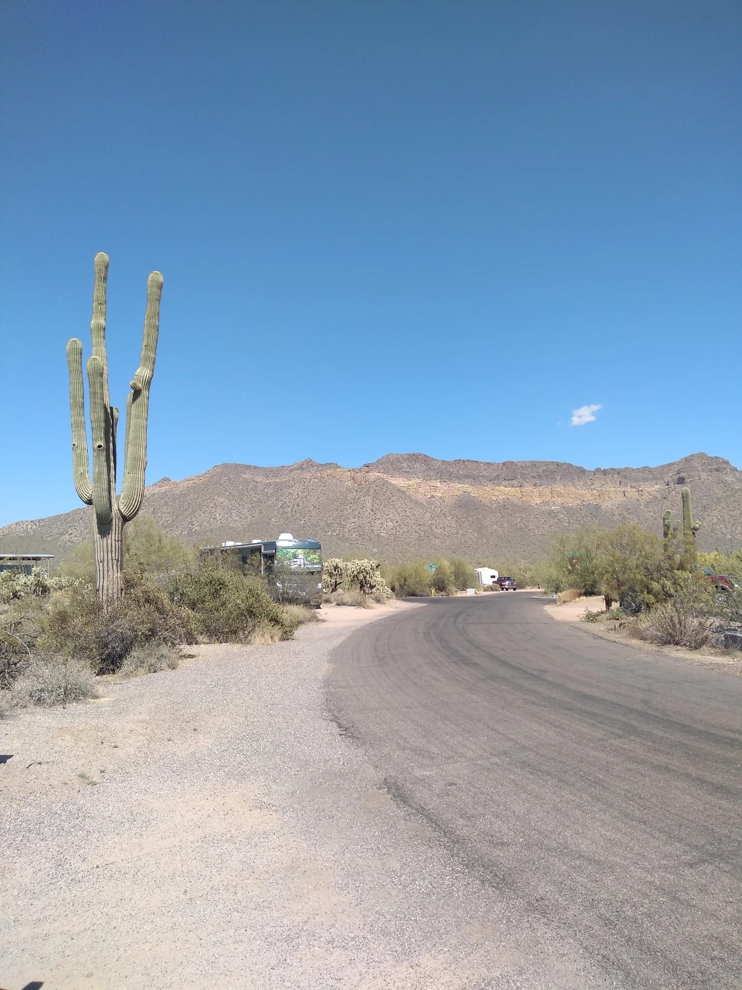 Buckhorn Family Campground