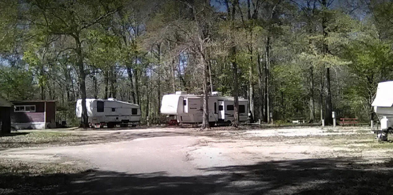 Bayside Marina and Campground