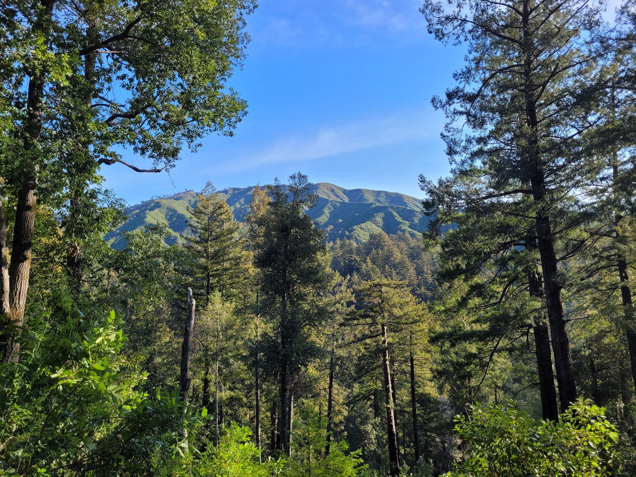 Camp Pico Blanco