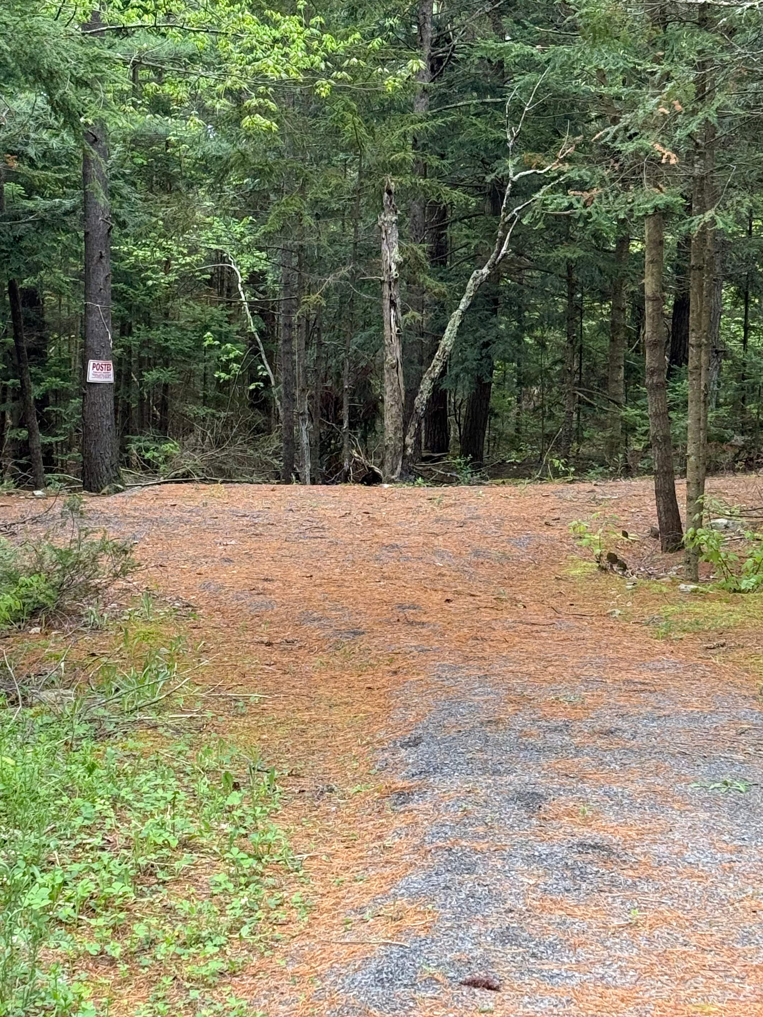 Chevy’s Primitive Camps