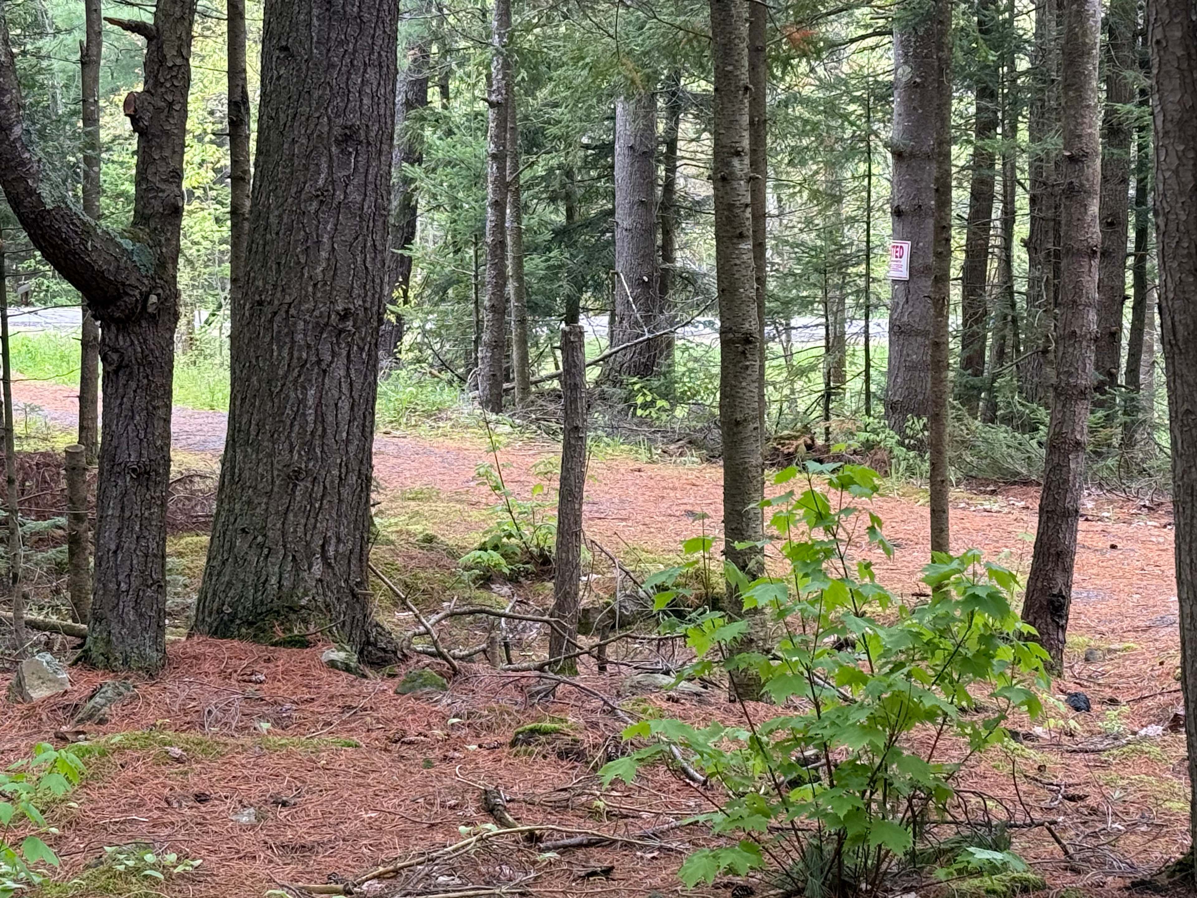 Chevy’s Primitive Camps