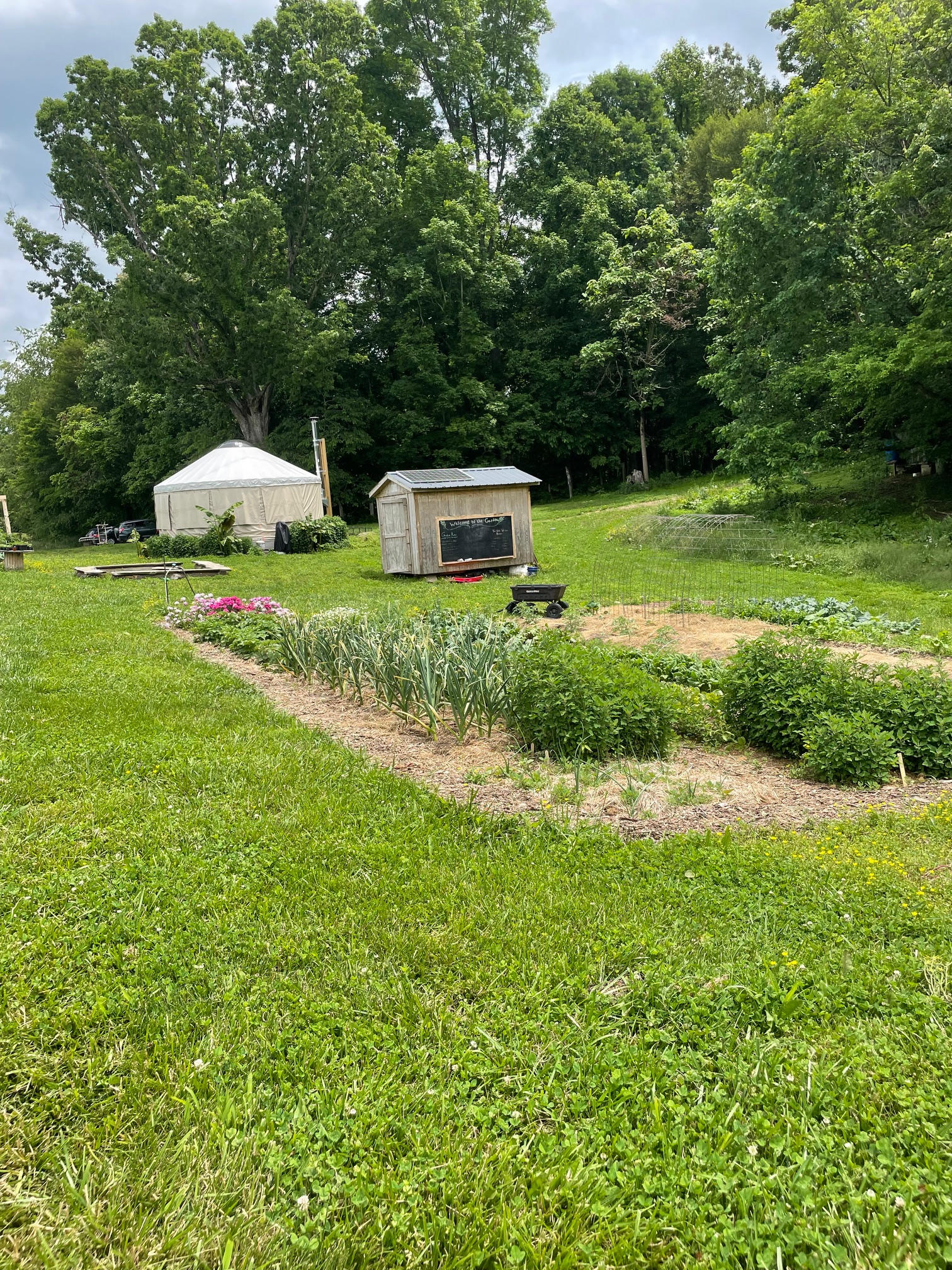 Fauna Forest Farm