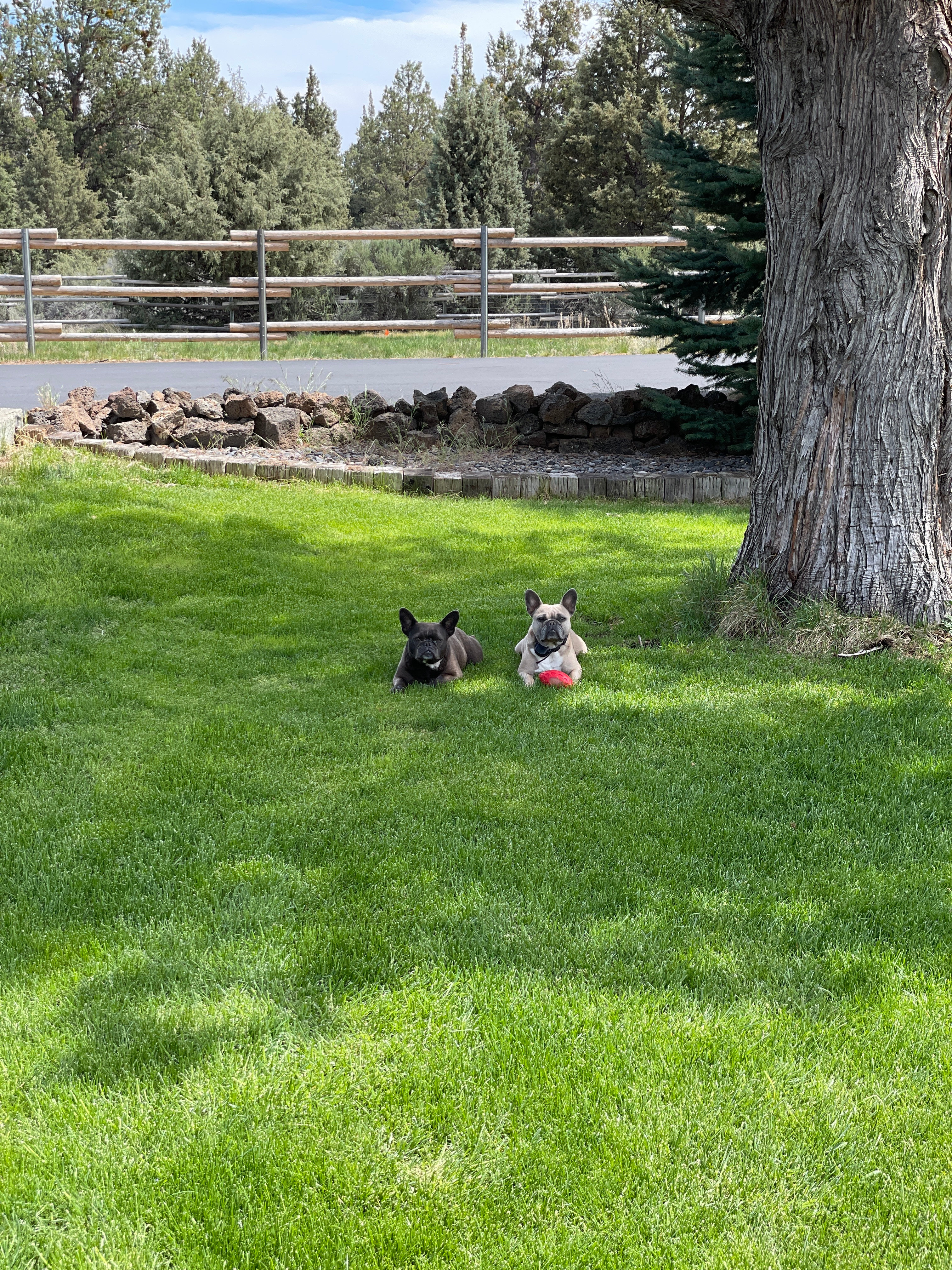 Golden Triangle RV Bend, Oregon