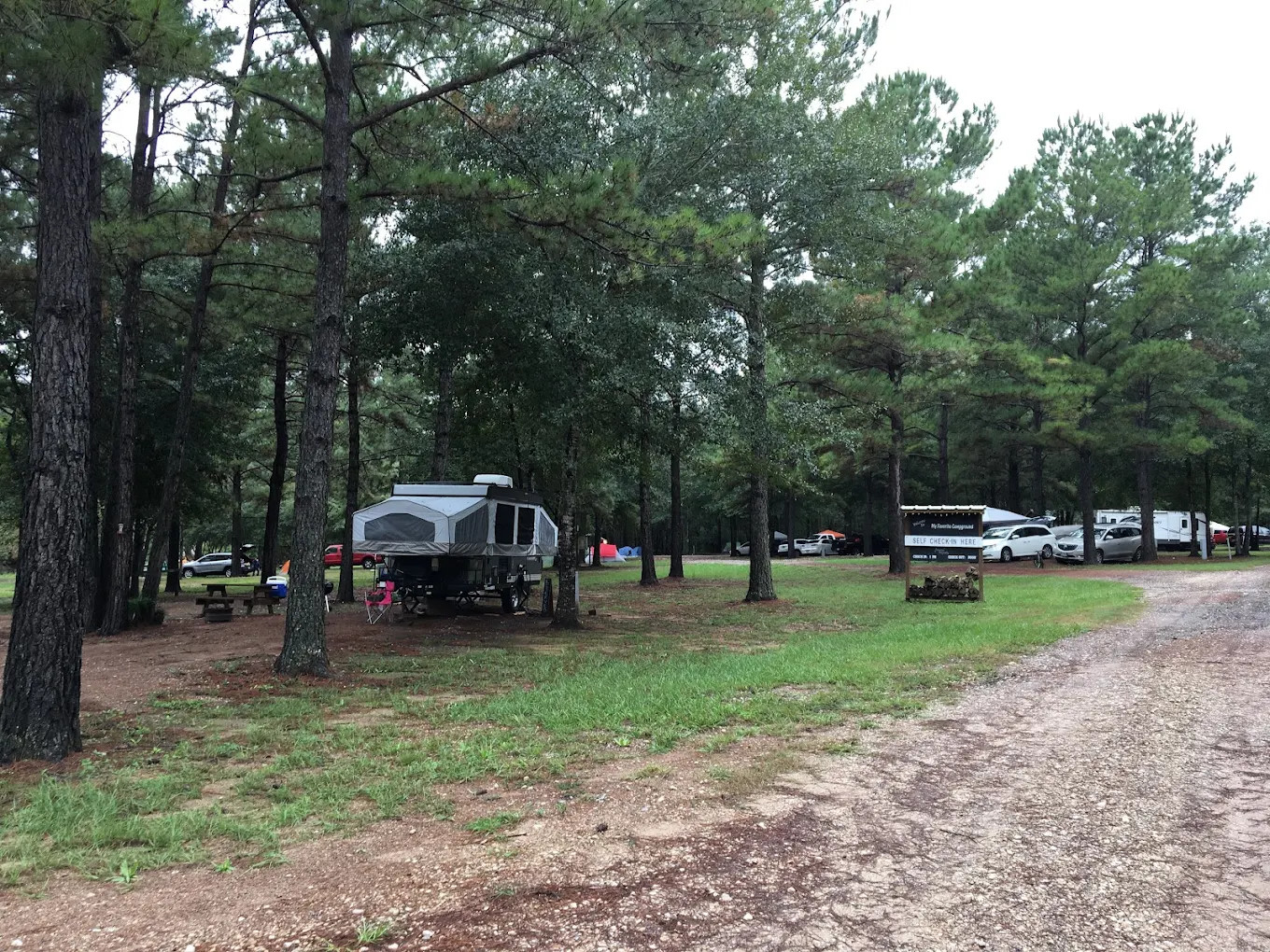 My Favorite Campground