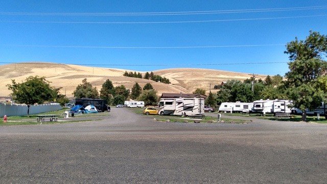 Pataha Creek RV