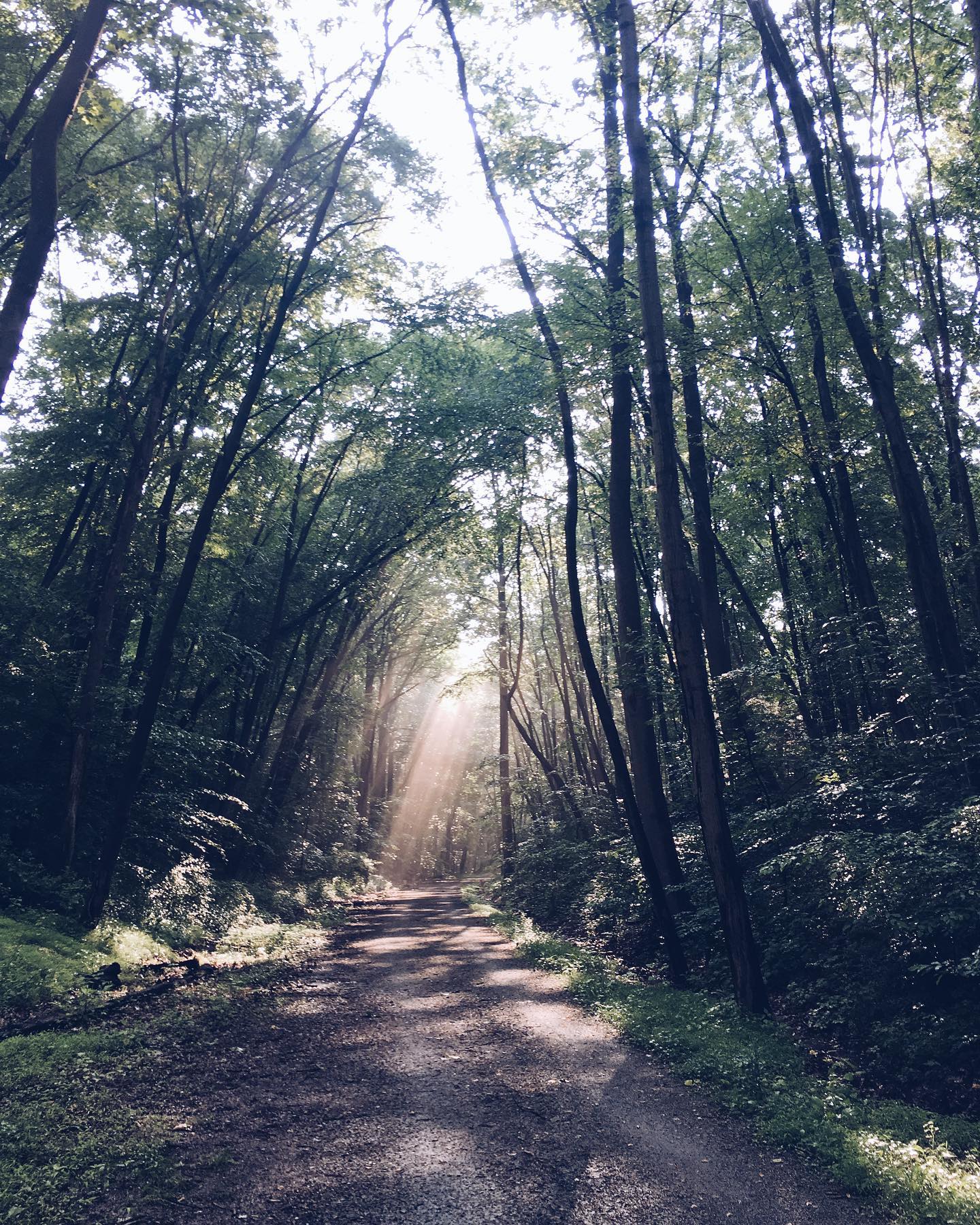 Pinch Pond Family Campground