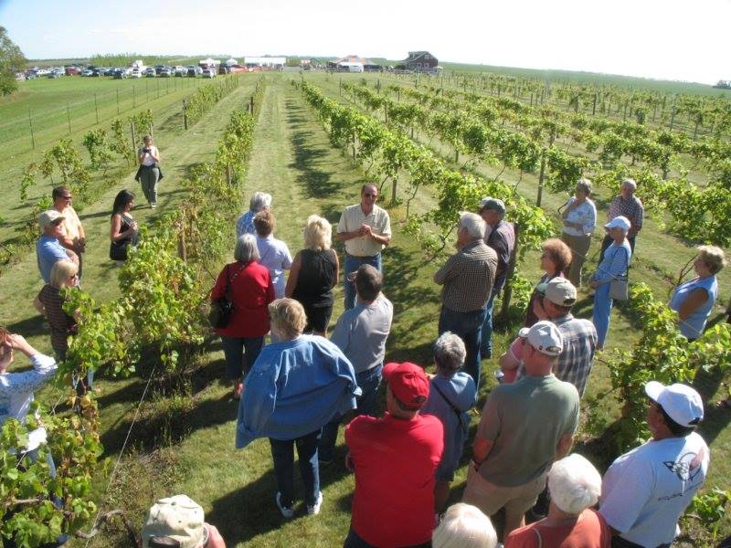 Viking Vines RV Campground