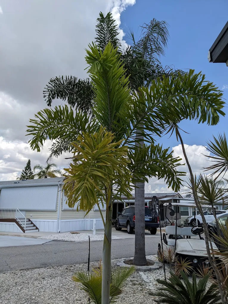 Cypress Bend RV Resort