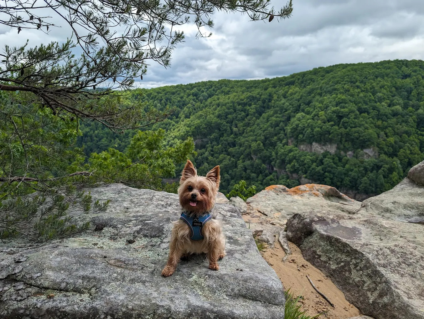 Breaks Interstate Park
