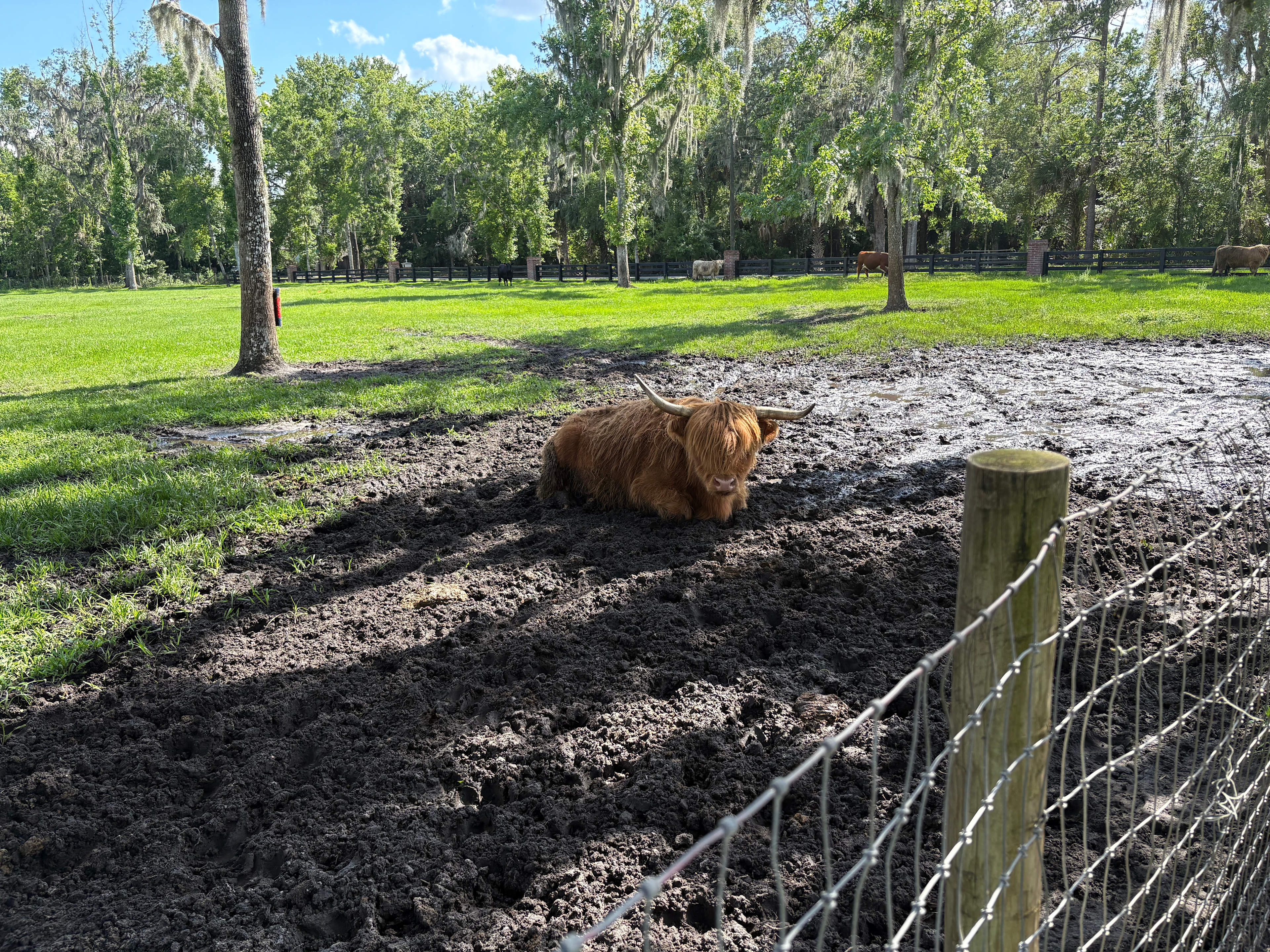 Family Farm Close to Everything!