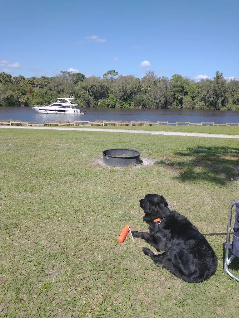 Phipps Park Campground