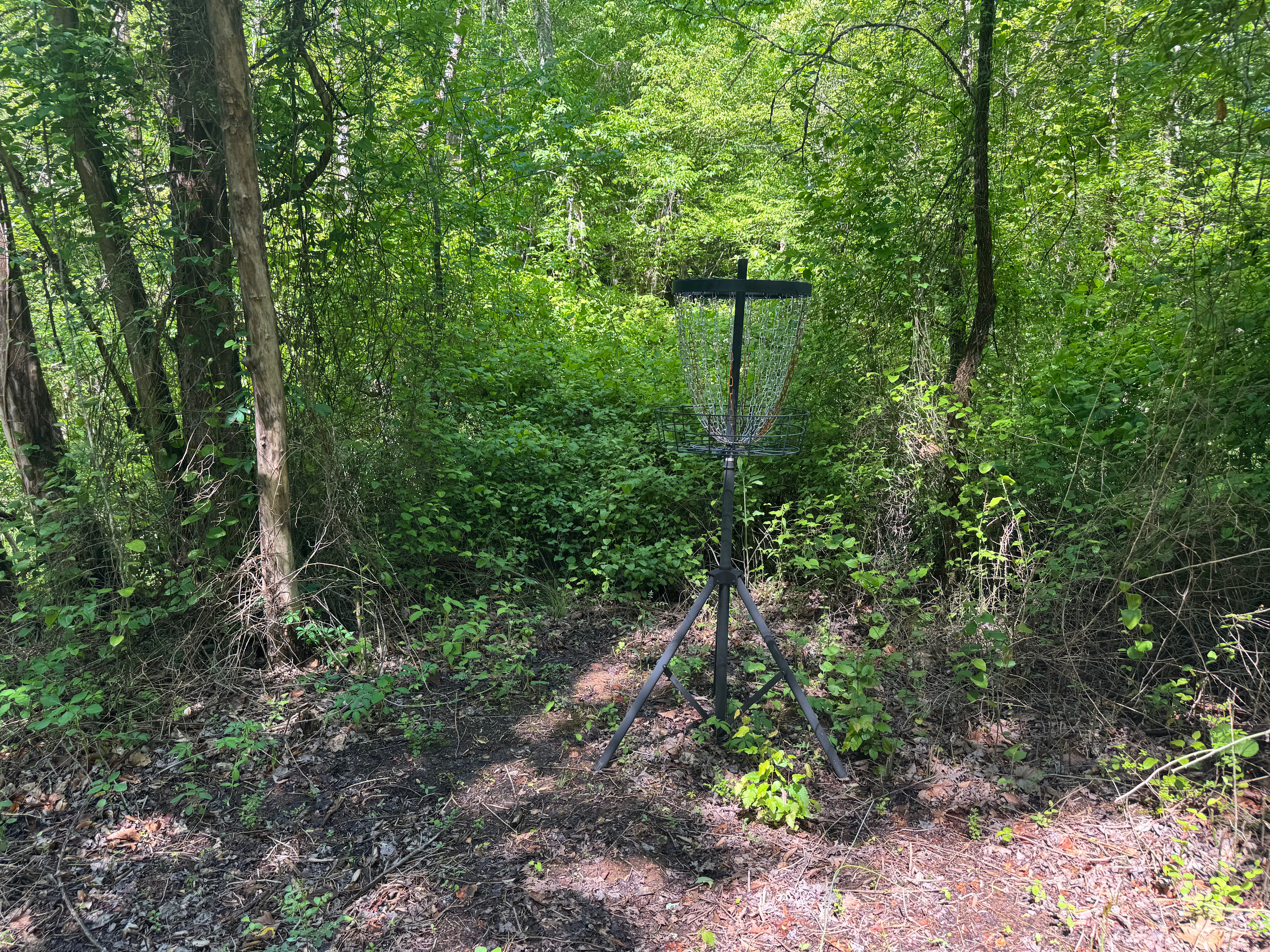 Living Woods on Ridgecreek