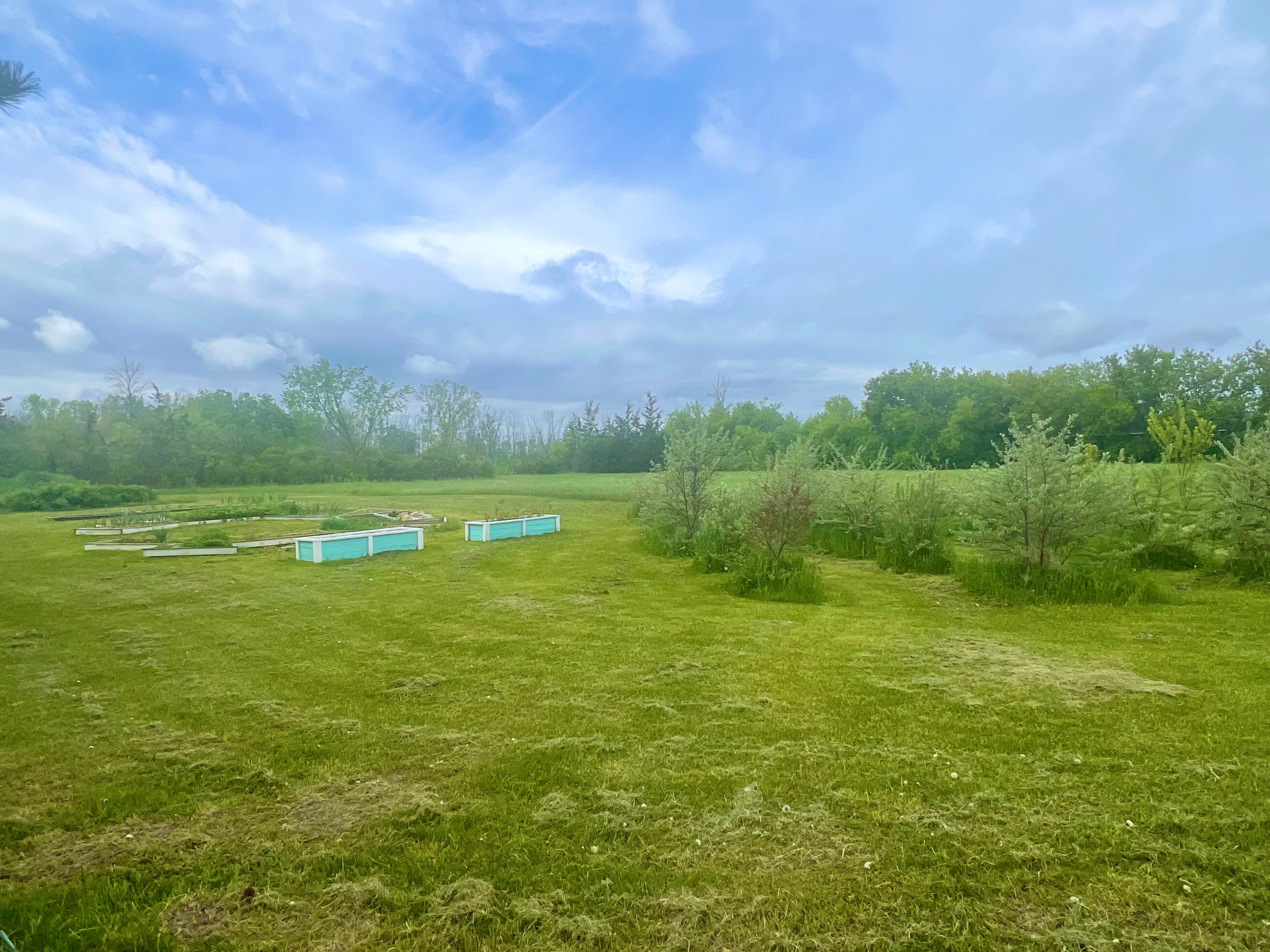 You can setup camp anywhere in this area , it’s almost 2 acres. 