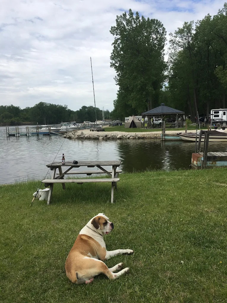 River Raisin Marina and Campground