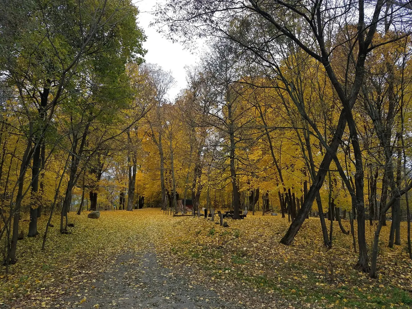 Diamond Lake County Park