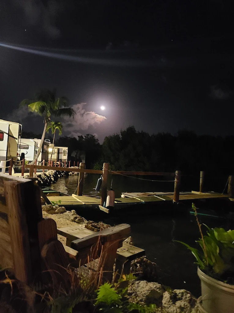 Driftwood Trailer Park