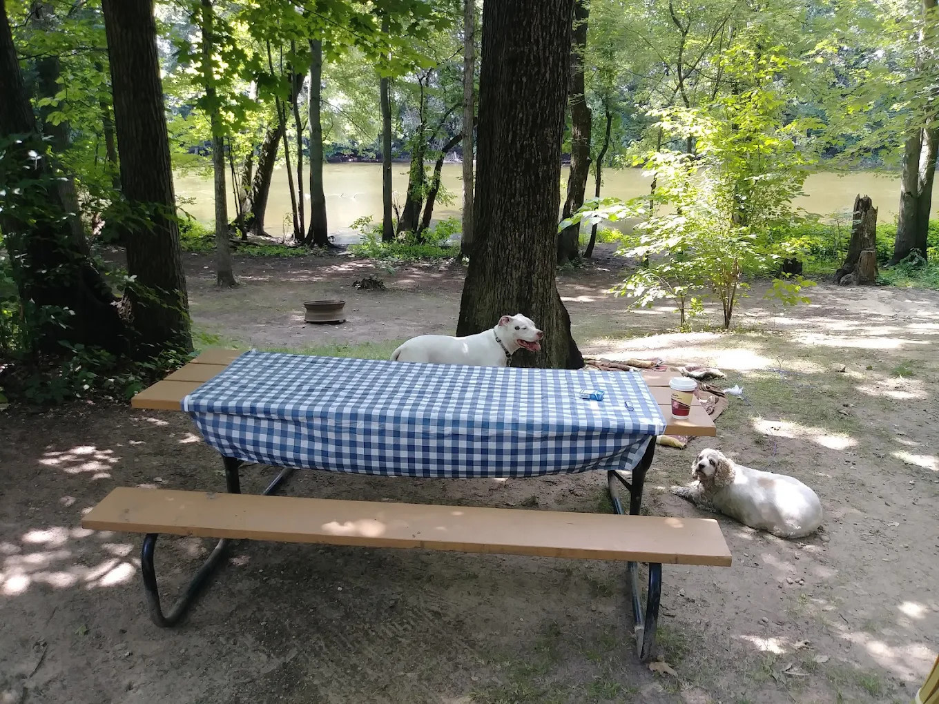 En Gedi Campground River Resort and Canoe Livery