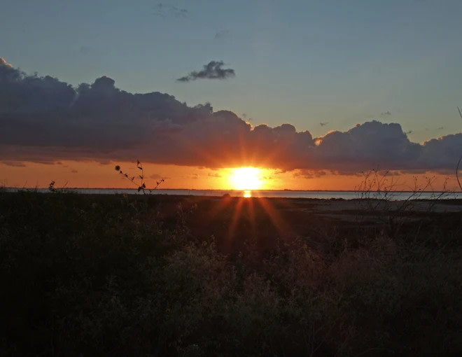 Laguna Madre RV Park and Marina