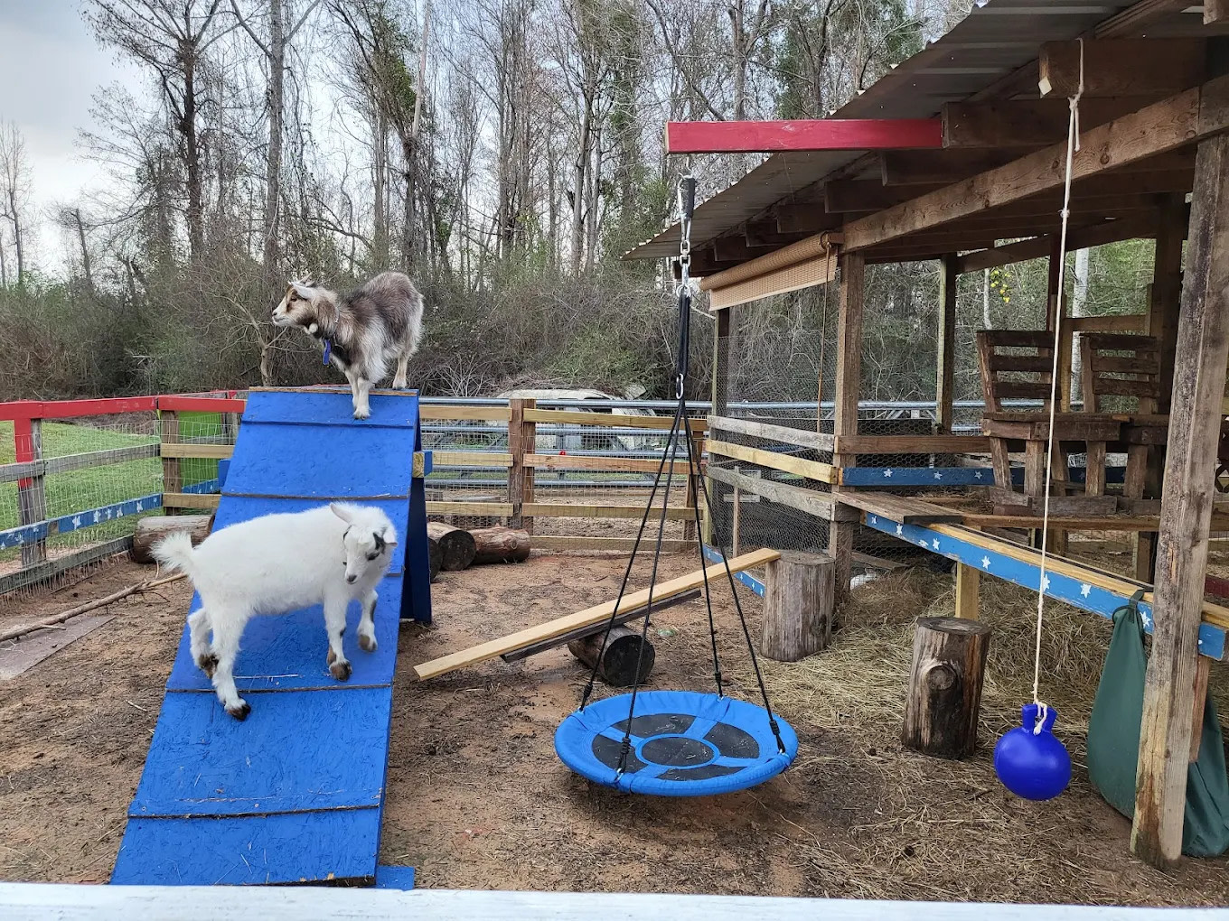 Hitchin Post Corral And RV Park, Llc