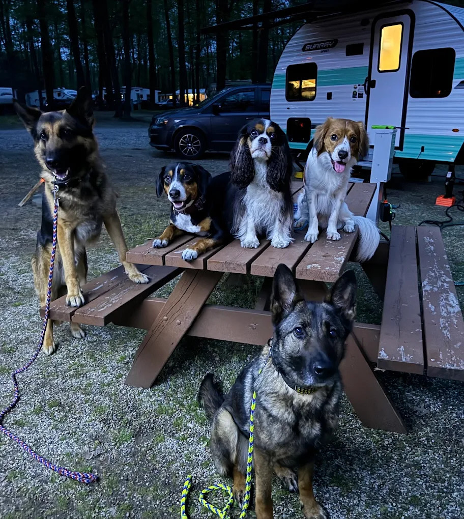 Duke Creek Campgrounds