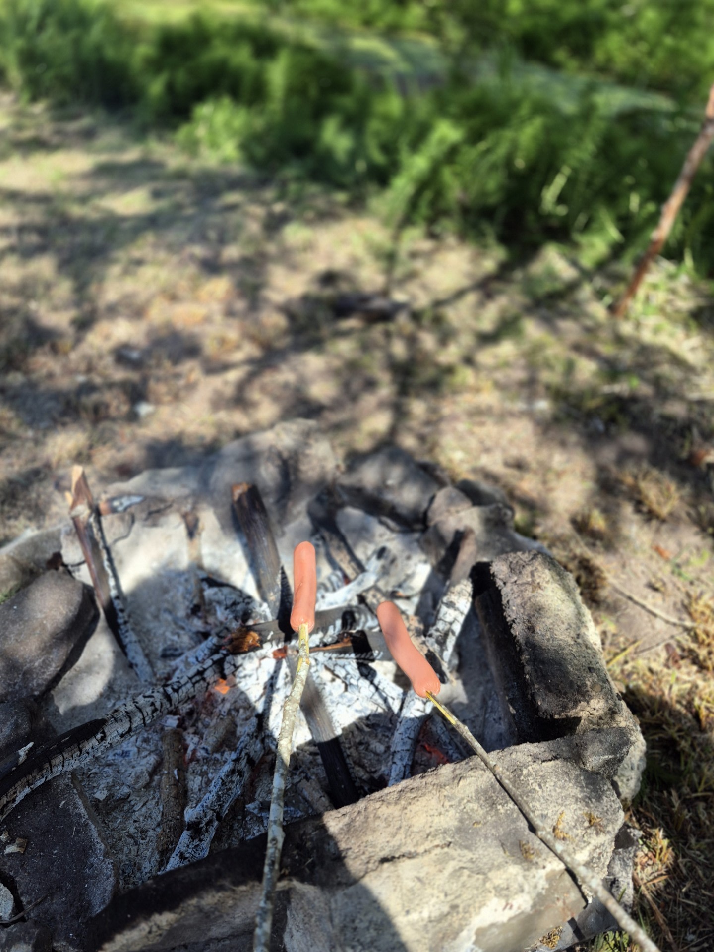 Ruby's Prairie on Little Egypt Road