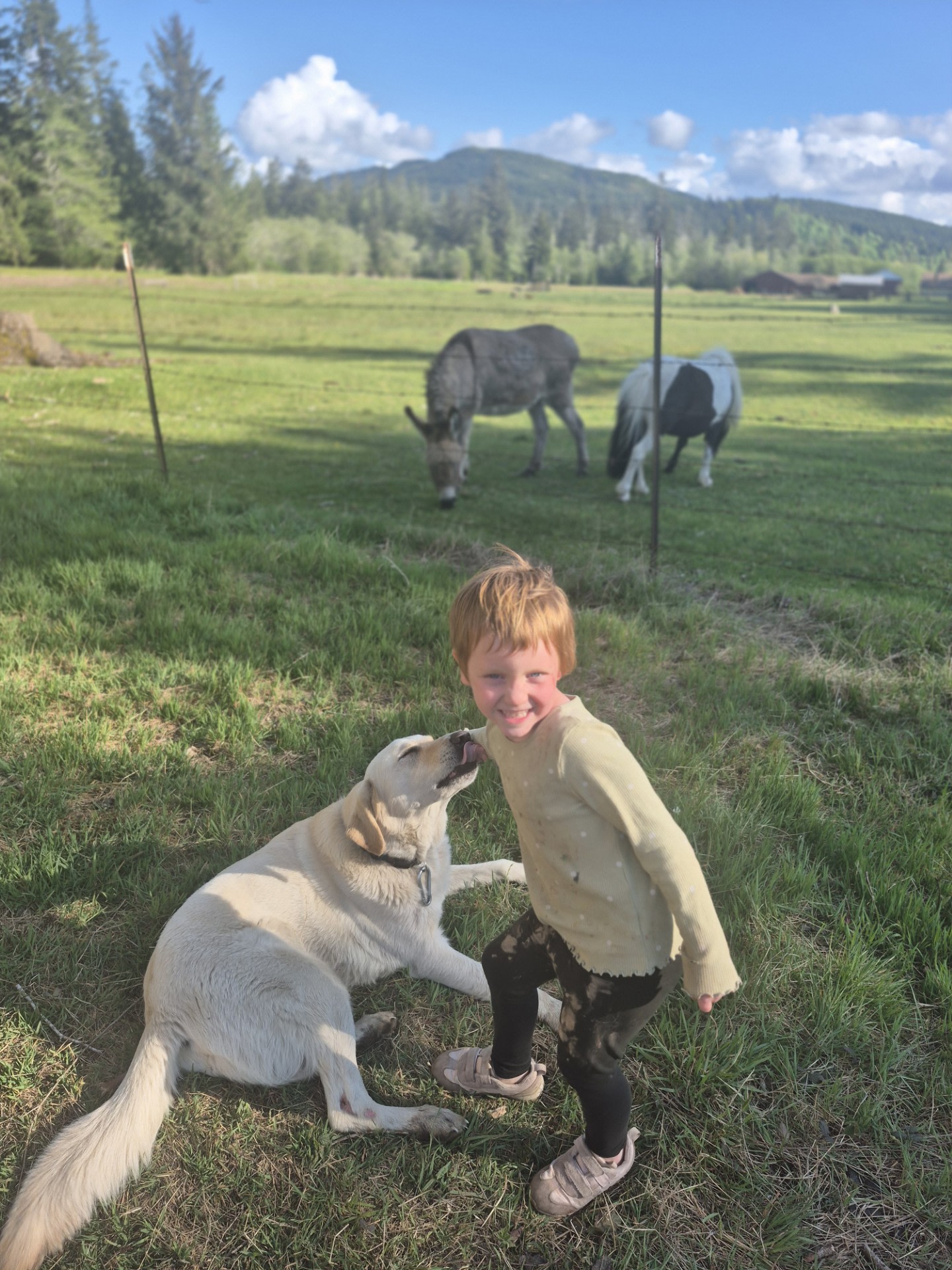 Ruby's Prairie on Little Egypt Road