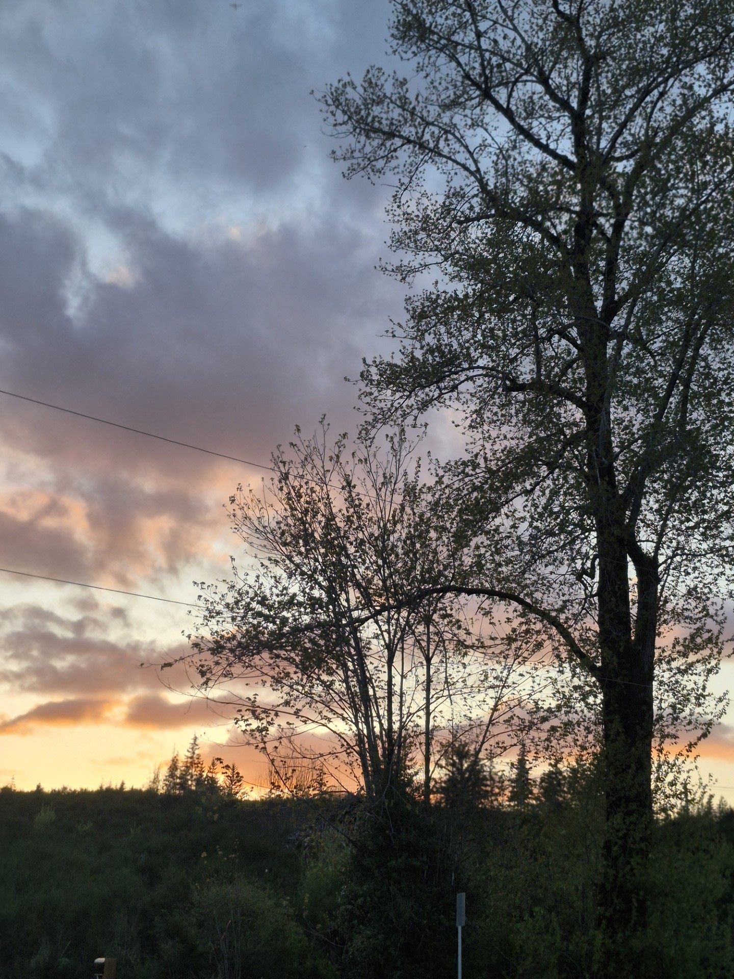 Ruby's Prairie on Little Egypt Road