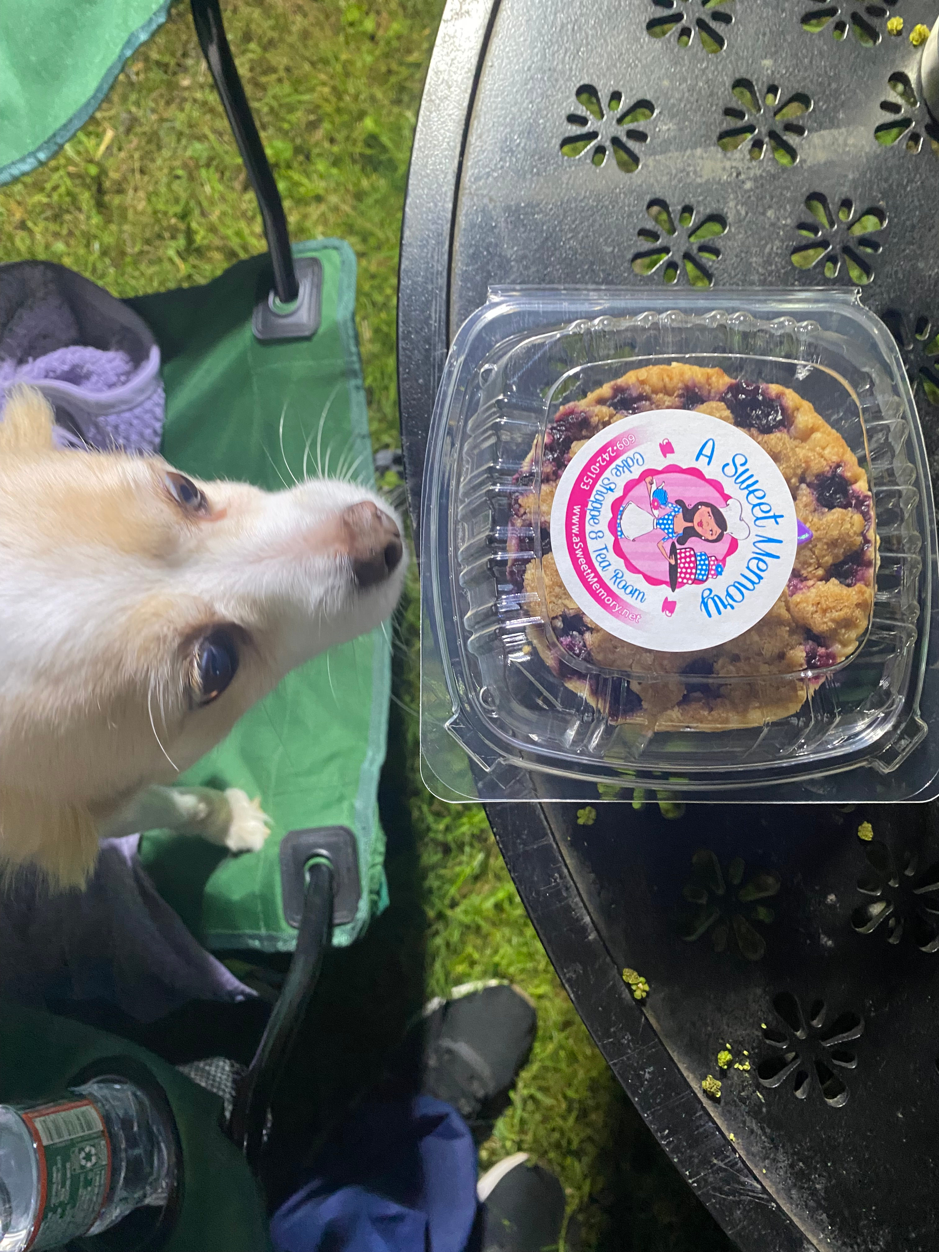 Local Blueberry Pie, delicious!!