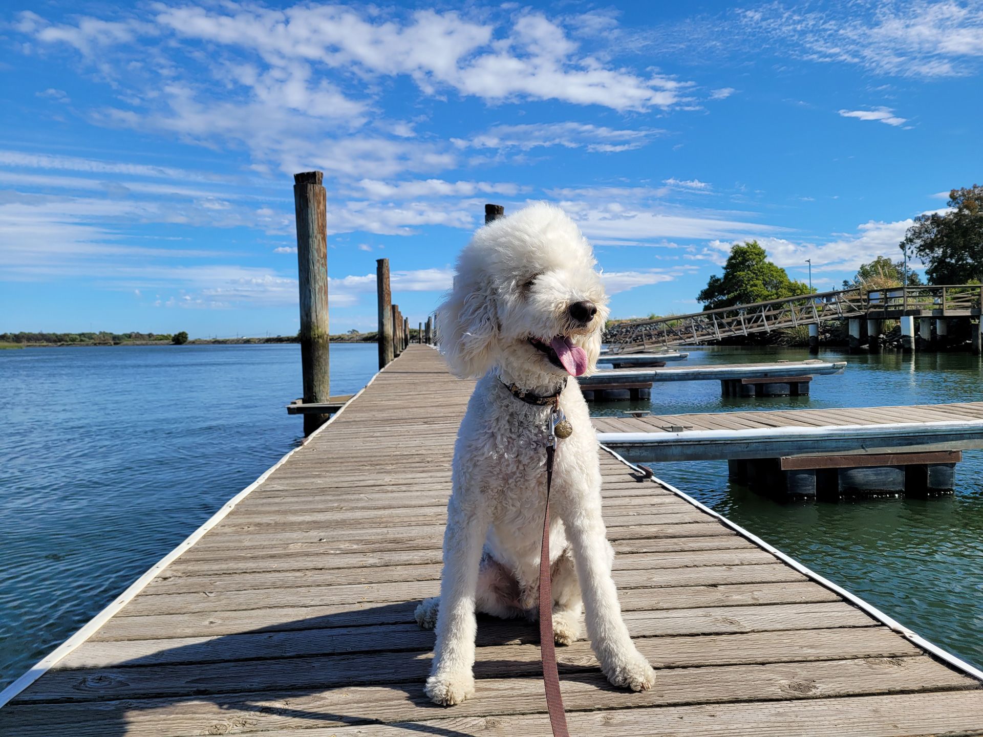 Delta Shores Resort & Marina