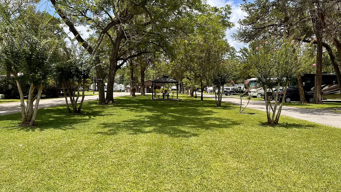Big Tree RV Park